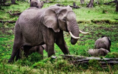 High-Value Financing: Jumbo Loans